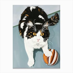 Cat With Ball Canvas Print