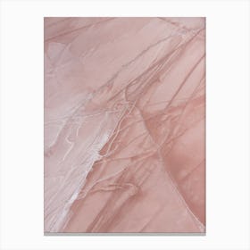 Pink Australian Salt Lake Textures Canvas Print