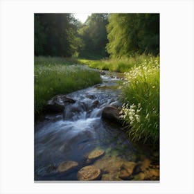 Stream In The Woods 1 Canvas Print