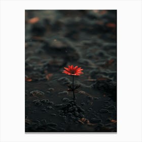 Single Flower In Water 16 Canvas Print