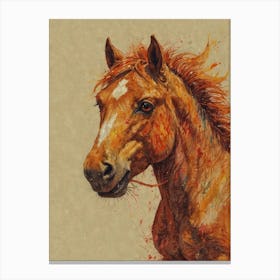 Horse Head Canvas Print Canvas Print