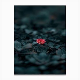 Flower In The Dark 4 Canvas Print