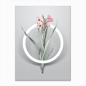 Vintage Sword Lily Minimalist Flower Geometric Circle on Soft Gray n.0438 Canvas Print