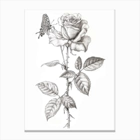 English Rose Butterfly Line Drawing 2 Canvas Print