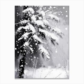 Winter, Snowflakes, Black & White Canvas Print
