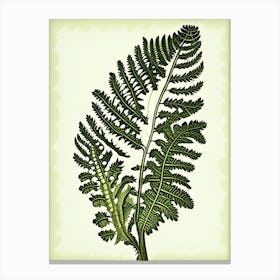 Royal Fern Wildflower Vintage Botanical 1 Canvas Print