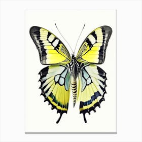 Swallowtail Butterfly Decoupage 1 Canvas Print