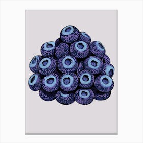 Blueberry Canvas Print