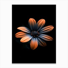 Flower On A Black Background 2 Canvas Print