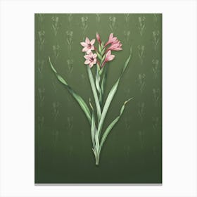 Vintage Sword Lily Botanical on Lunar Green Pattern n.0921 Canvas Print