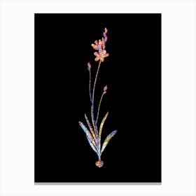 Stained Glass Mossel Bay Tritonia Mosaic Botanical Illustration on Black n.0246 Canvas Print