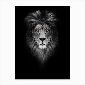 Lion Head Canvas Print