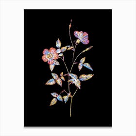Stained Glass Indica Stelligera Rose Mosaic Botanical Illustration on Black n.0242 Canvas Print