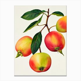 Rose Apple Watercolour Fruit Painting Fruit Canvas Print