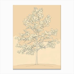 Maple Tree Minimalistic Drawing 3 Canvas Print