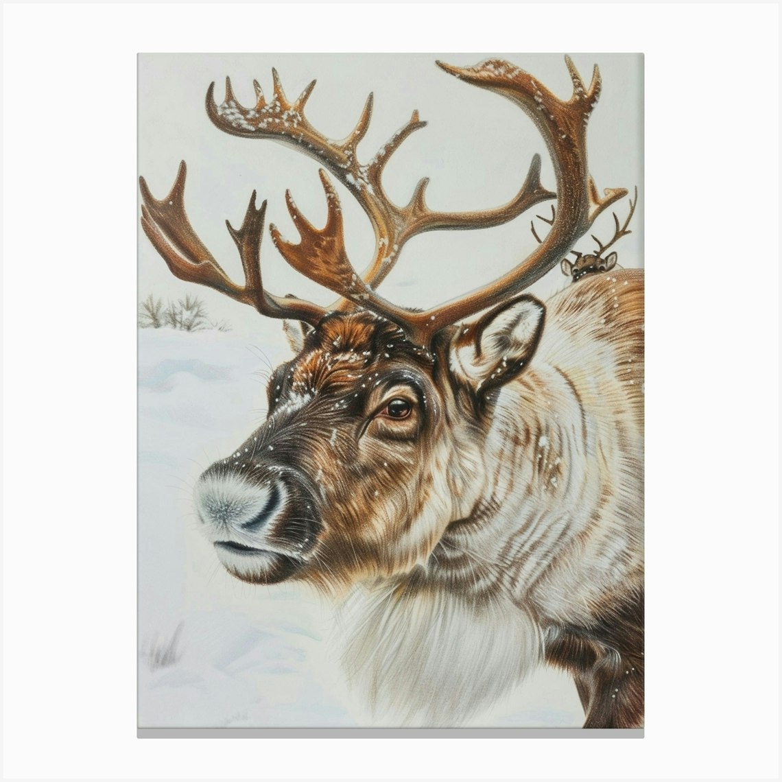 Reindeer Pastel Watercolour 4 Canvas Print by Critter Crafts