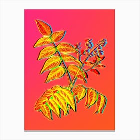 Neon Tree of Heaven Botanical in Hot Pink and Electric Blue Canvas Print