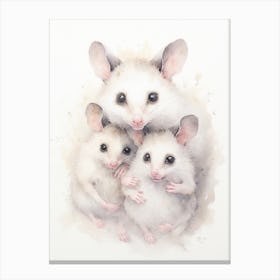 Light Watercolor Painting Of A Mother Possum 4 Canvas Print