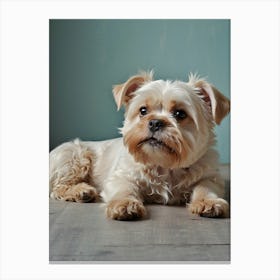 Default Wall Images Of Pets With Faint Colors 1 Canvas Print