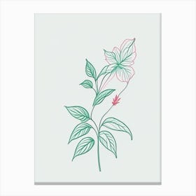 Peppermint Floral Minimal Line Drawing 4 Flower Canvas Print