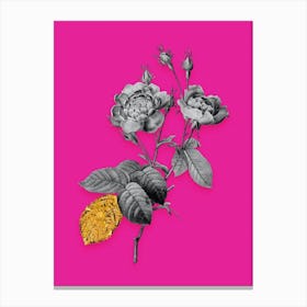 Vintage Anemone Centuries Rose Black and White Gold Leaf Floral Art on Hot Pink n.1205 Canvas Print