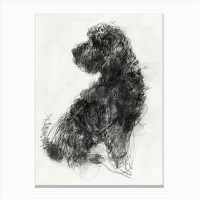 Spanish Water Dog Dog Charcoal Line 1 Canvas Print