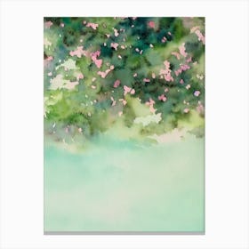 Acropora Valida Iiii Storybook Watercolour Canvas Print