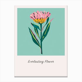 Everlasting Flower Square Flower Illustration Poster Canvas Print