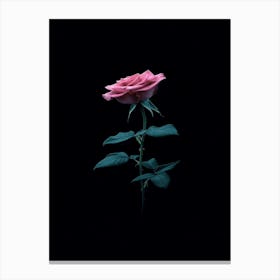 Pink Rose On Black Background 17 Canvas Print