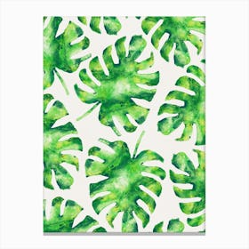 Monstera Leaves in Canvas Print
