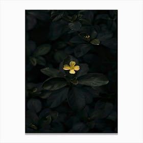 Yellow Flower In The Dark 8 Canvas Print