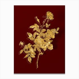 Vintage Alpine Rose Botanical in Gold on Red n.0596 Canvas Print
