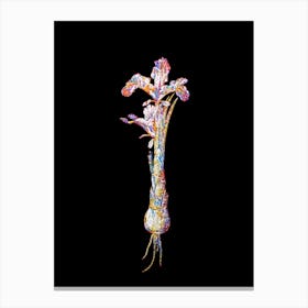 Stained Glass Iris Persica Mosaic Botanical Illustration on Black n.0019 Canvas Print