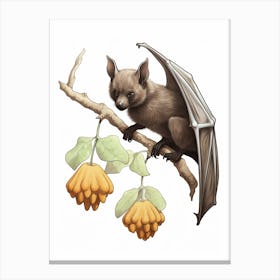Fruit Bat Vintage Illustration 1 Canvas Print