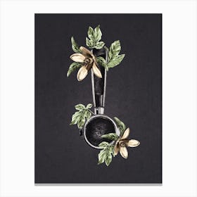 Botanical Espresso Canvas Print