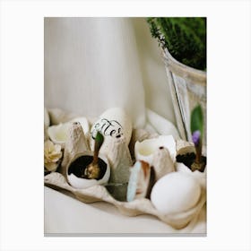 Easter Eggs 212 Canvas Print