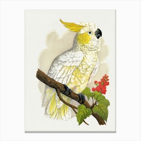 Cockatoo 7 Canvas Print