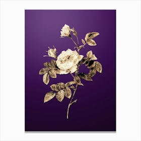 Gold Botanical Pink Rose Turbine on Royal Purple n.4284 Canvas Print