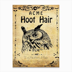 Acme Hoot Hair Canvas Print