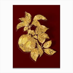 Vintage Apple Botanical in Gold on Red n.0189 Canvas Print
