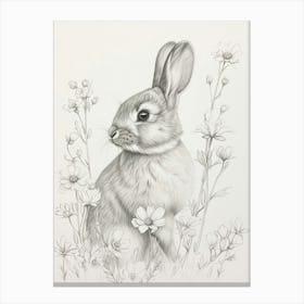 Britannia Petite Rabbit Drawing 2 Canvas Print