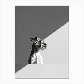 Shadow Of A Dog. Generated AI. Art Print 1 Canvas Print