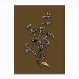 Vintage Commelina Africana Black and White Gold Leaf Floral Art on Coffee Brown n.0950 Canvas Print