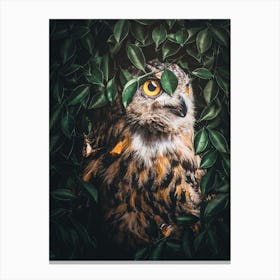 Owl In The Forest Canvas Print