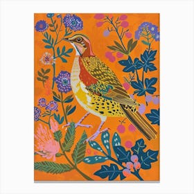 Spring Birds Partridge 1 Canvas Print