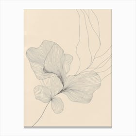 'Peony' Canvas Print