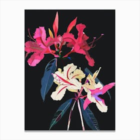 Neon Flowers On Black Bougainvillea 1 Canvas Print