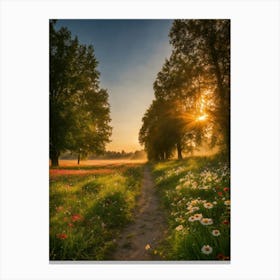 Sunrise In The Meadow Canvas Print