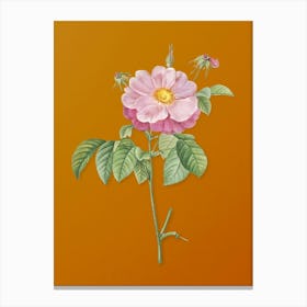 Vintage Speckled Provins Rose Botanical on Sunset Orange n.0945 Canvas Print