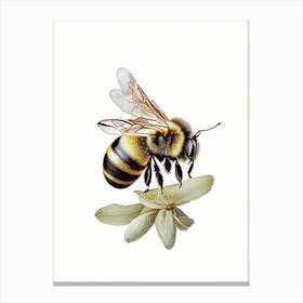 Solitary Bee 1 Vintage Canvas Print